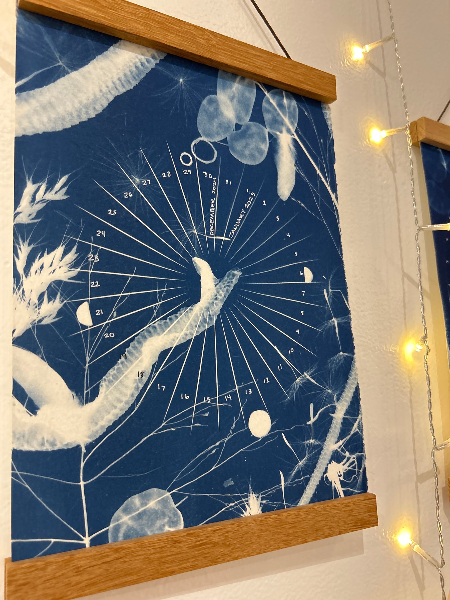 Moon cal cyanotype