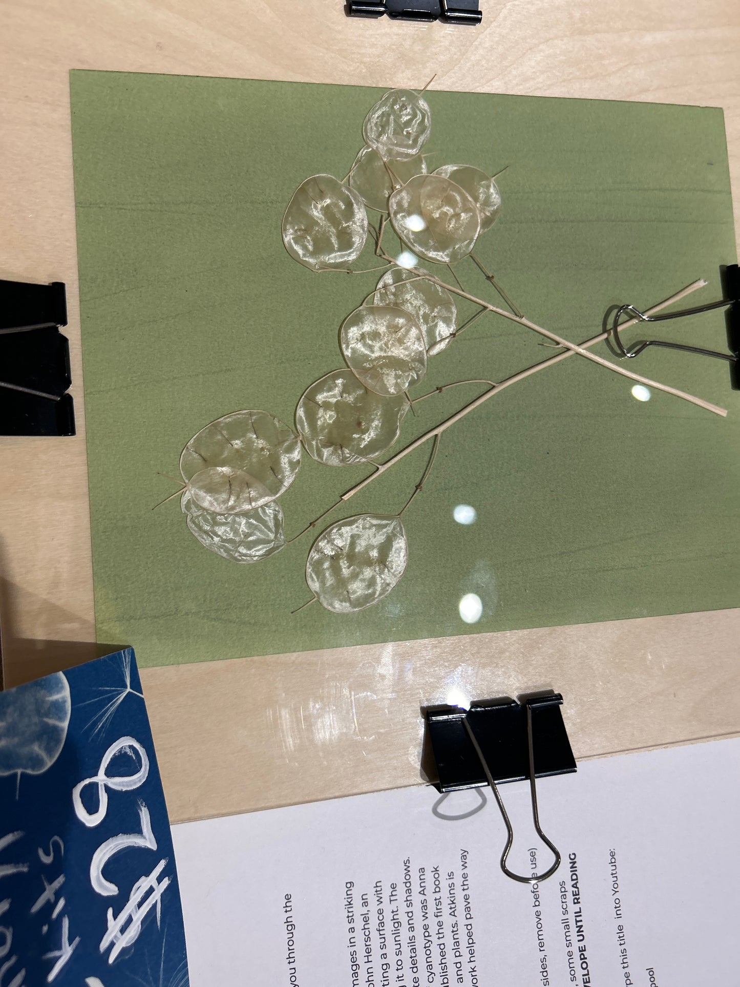 Cyanotype kit
